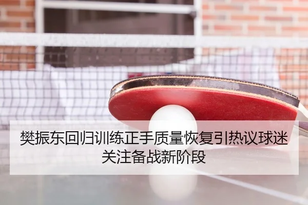 樊振东回归训练正手质量恢复引热议球迷关注备战新阶段